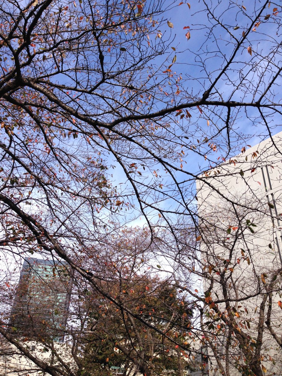 ささやかなの画像